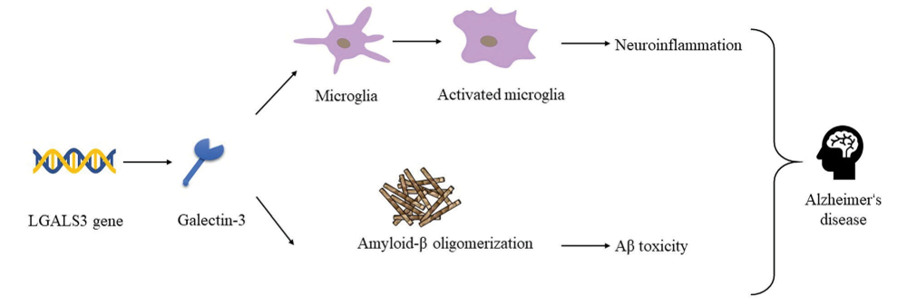 Gene-Ilustration1000